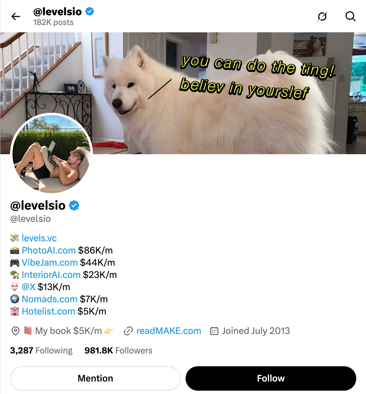 Ürün başına aylık geliri listeleyen Pieter Levels X profili